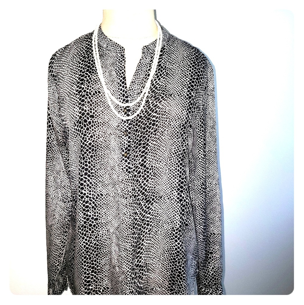 Black and White Blouse